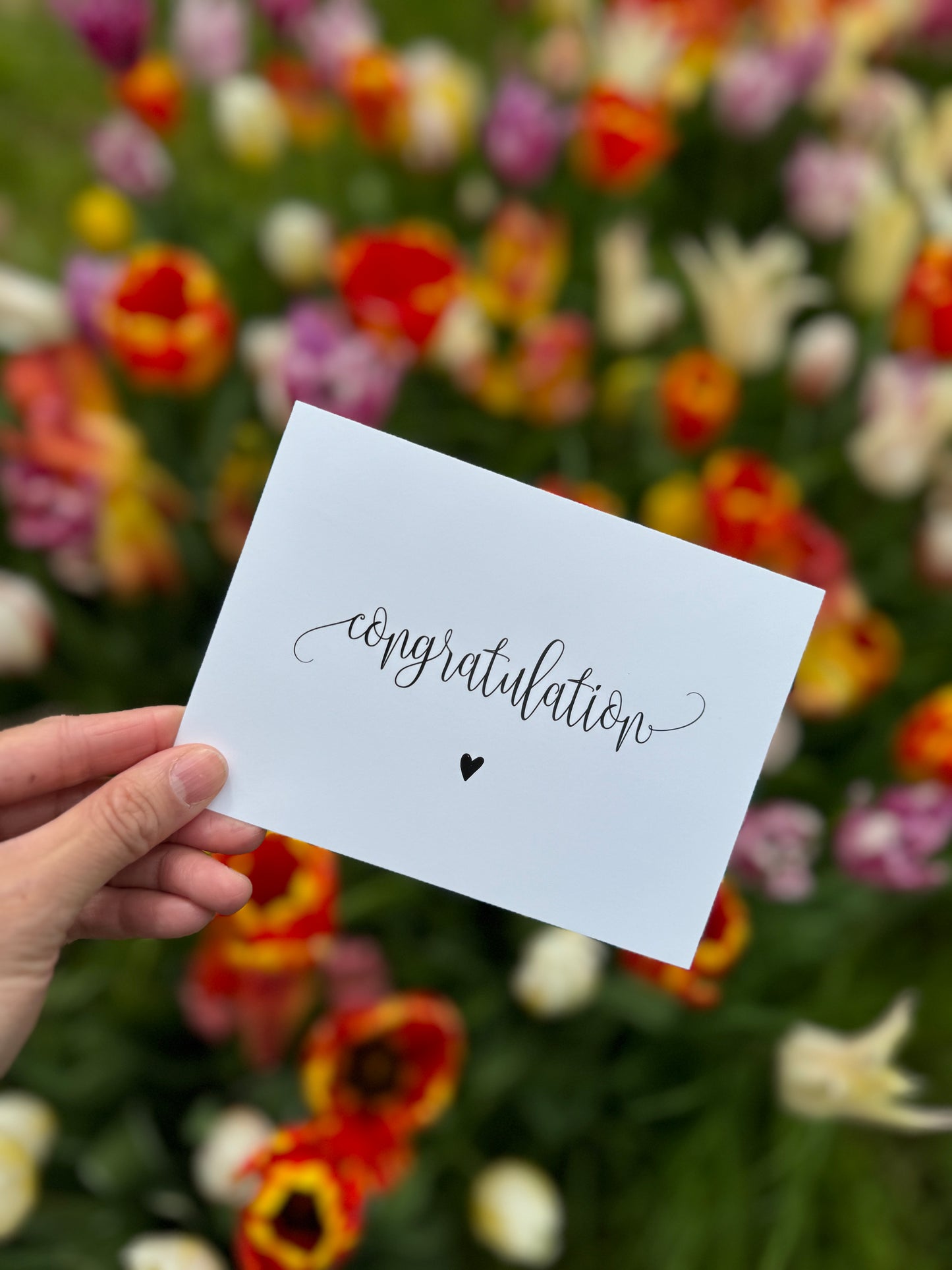 Grußkarte - Congratulation